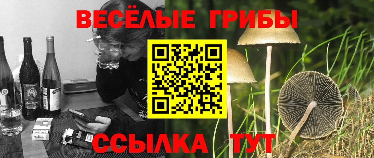 Псилоцибиновые грибы мухоморы  Вход с VPN  Галлюциногенные грибы мухоморы  Асбест 